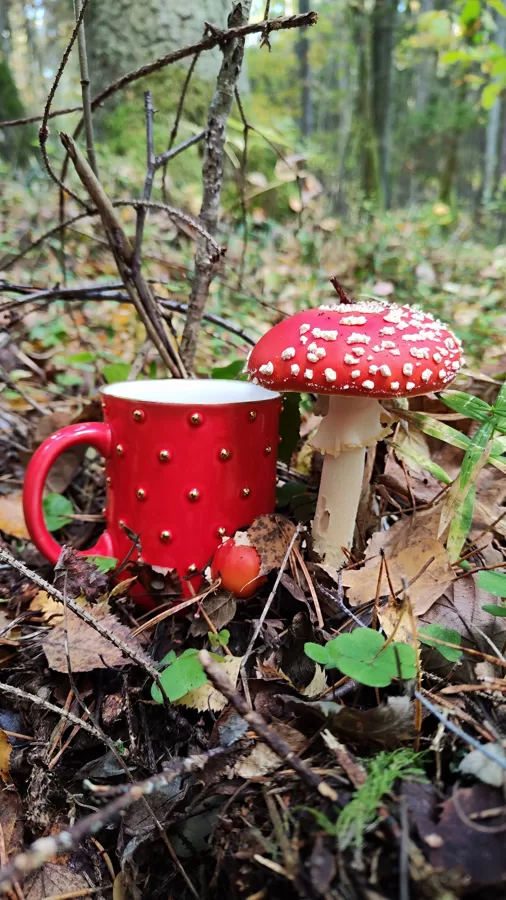 Pumpiņtrauki
